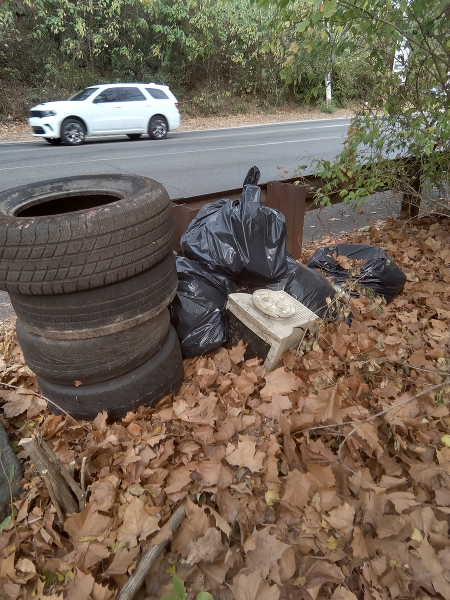 Photographic documentation of the work as submitted to the city's 311 record.