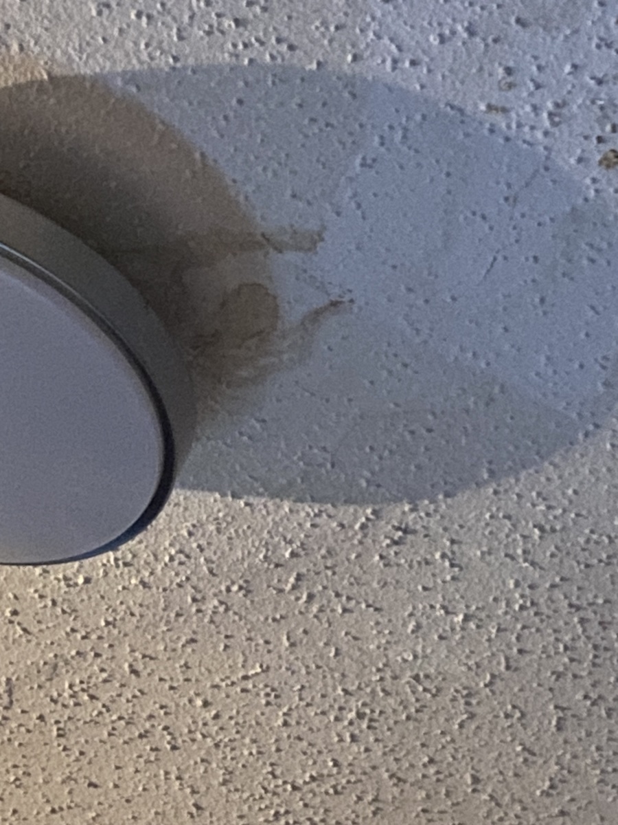 Photographic documentation of the work as submitted to the city's 311 record.