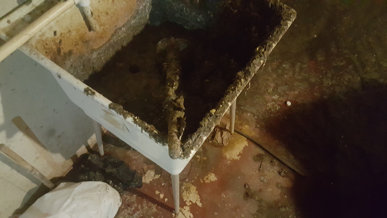 Photographic documentation of the work as submitted to the city's 311 record.
