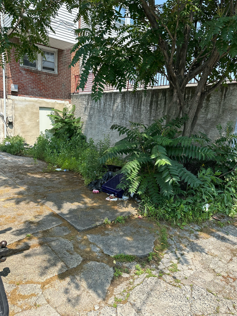 Photographic documentation of the work as submitted to the city's 311 record.
