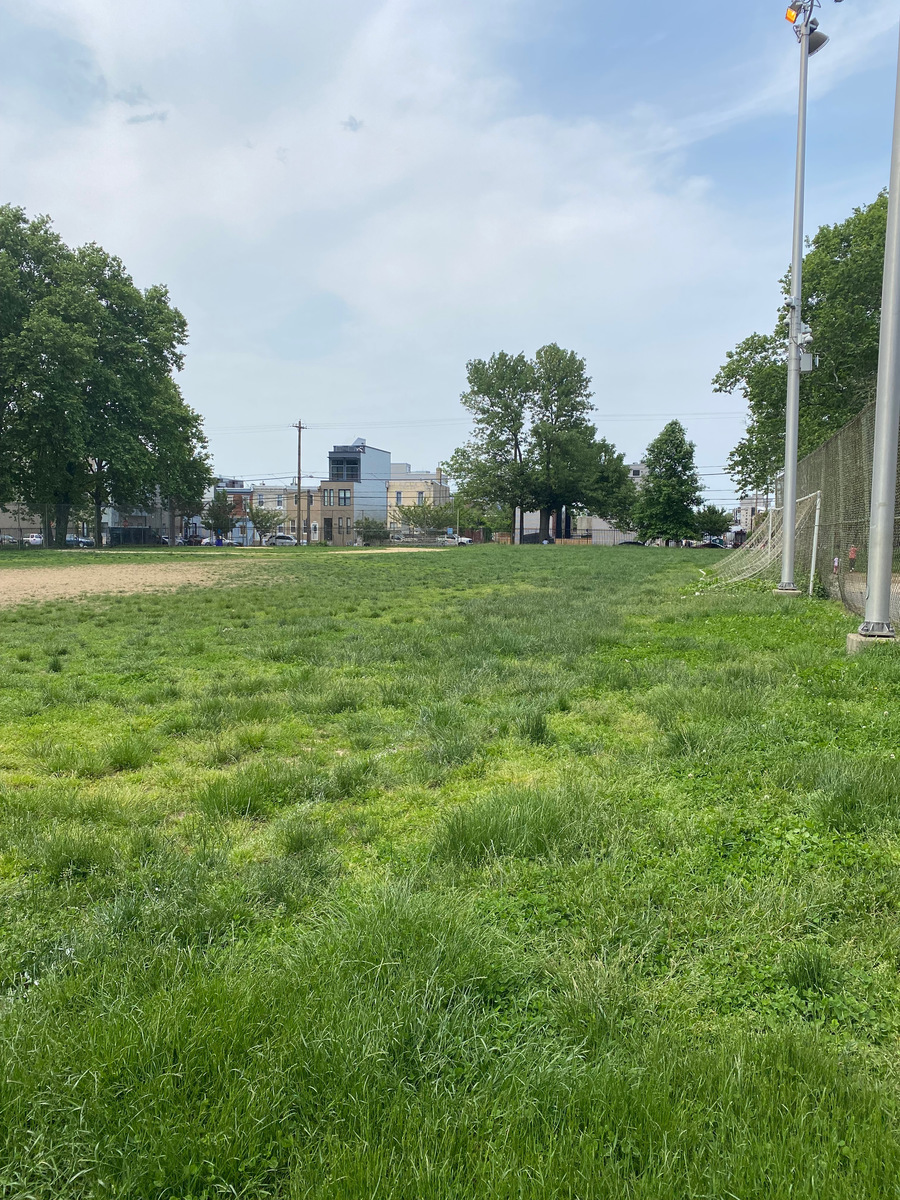 Photographic documentation of the work as submitted to the city's 311 record.