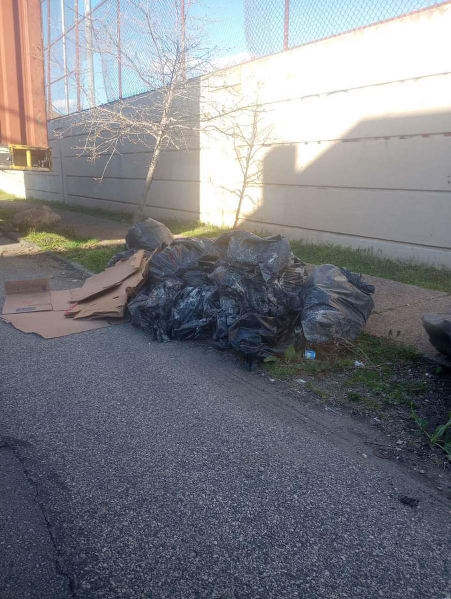 Photographic documentation of the work as submitted to the city's 311 record.