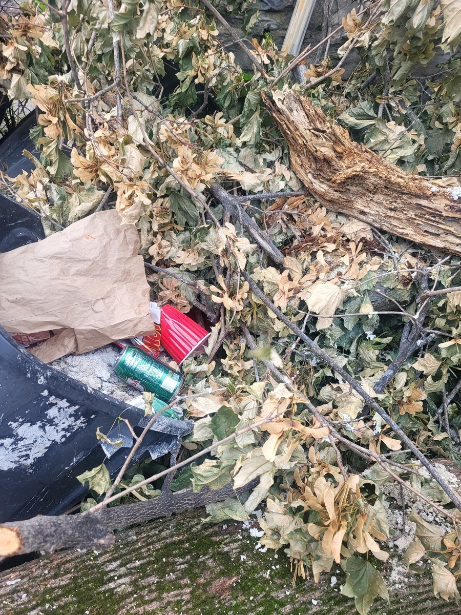 Photographic documentation of the work as submitted to the city's 311 record.