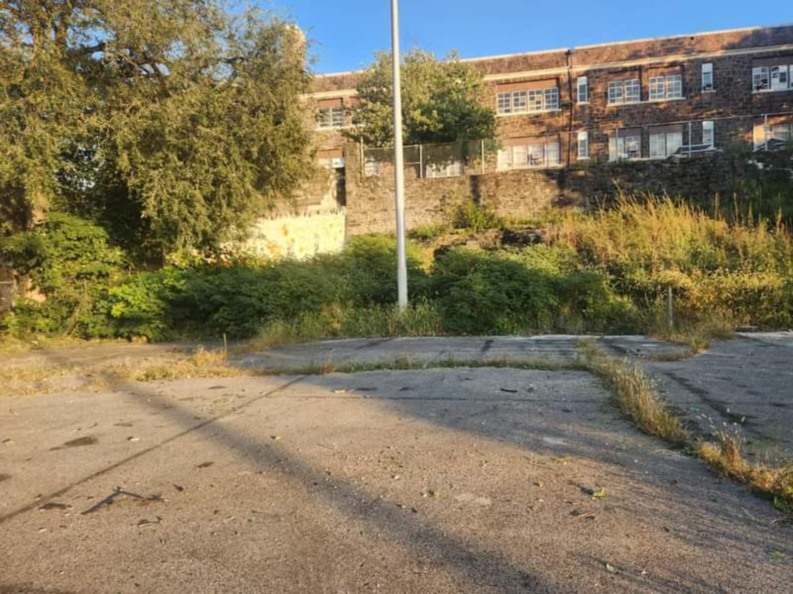 Photographic documentation of the work as submitted to the city's 311 record.