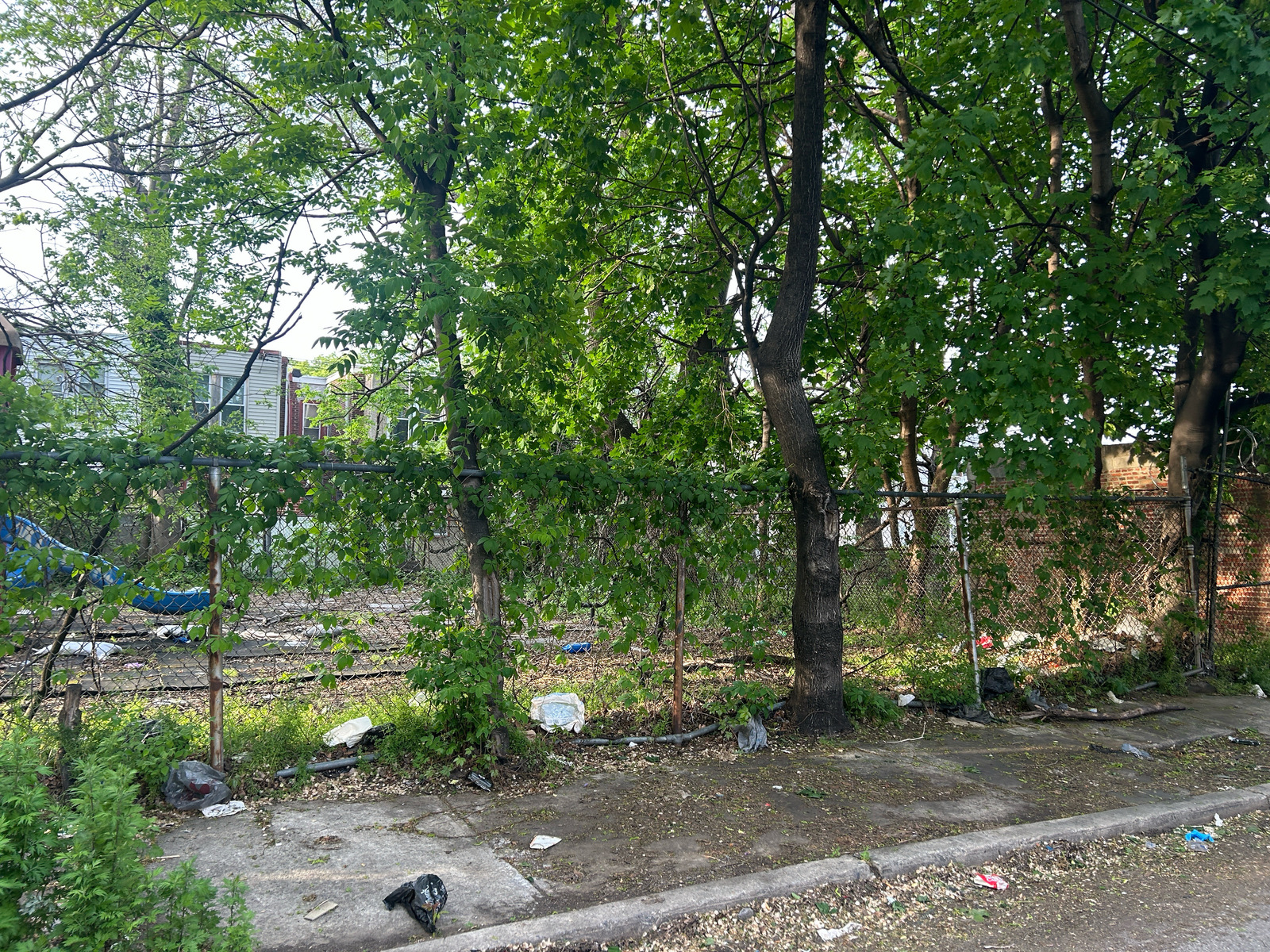 Photographic documentation of the work as submitted to the city's 311 record.