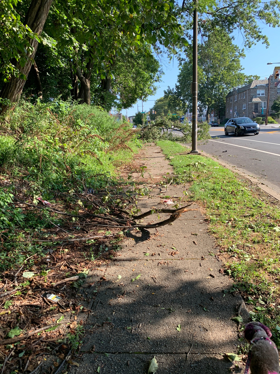 Photographic documentation of the work as submitted to the city's 311 record.