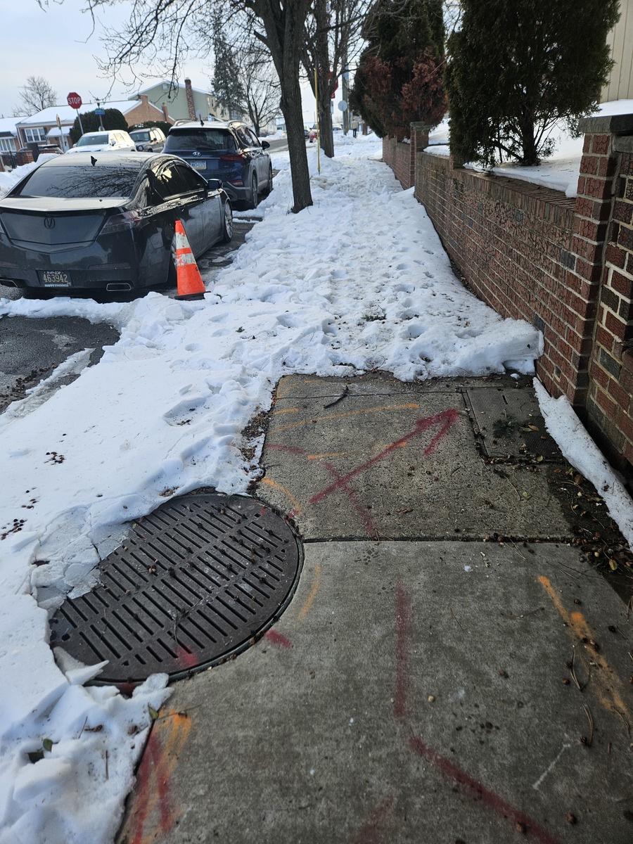 Photographic documentation of the work as submitted to the city's 311 record.