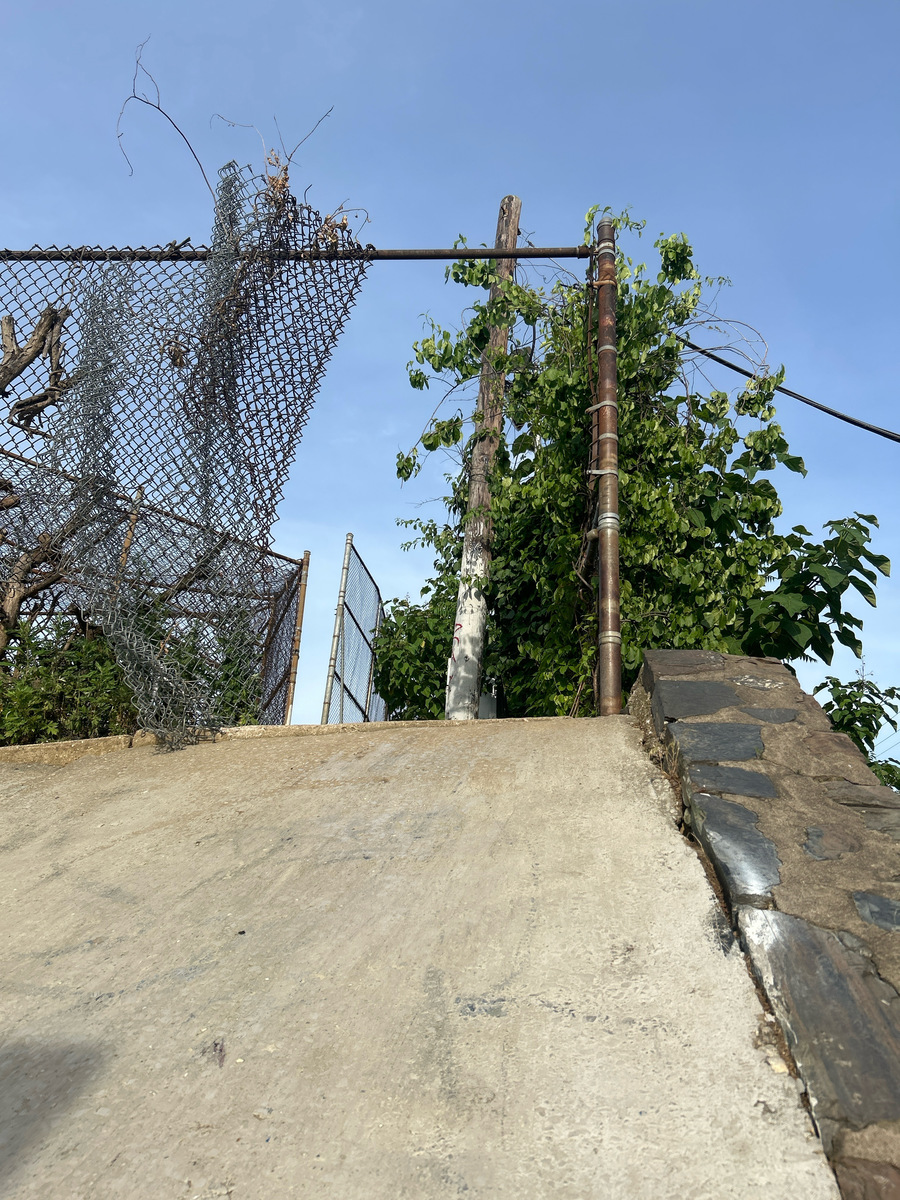 Photographic documentation of the work as submitted to the city's 311 record.