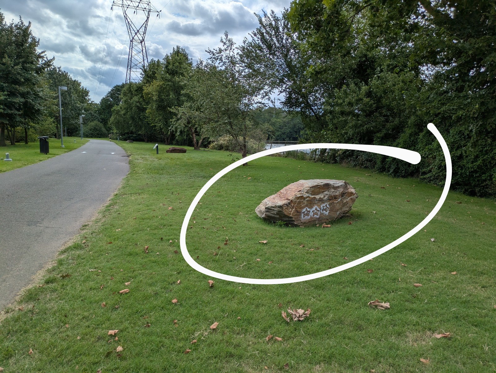Photographic documentation of the work as submitted to the city's 311 record.