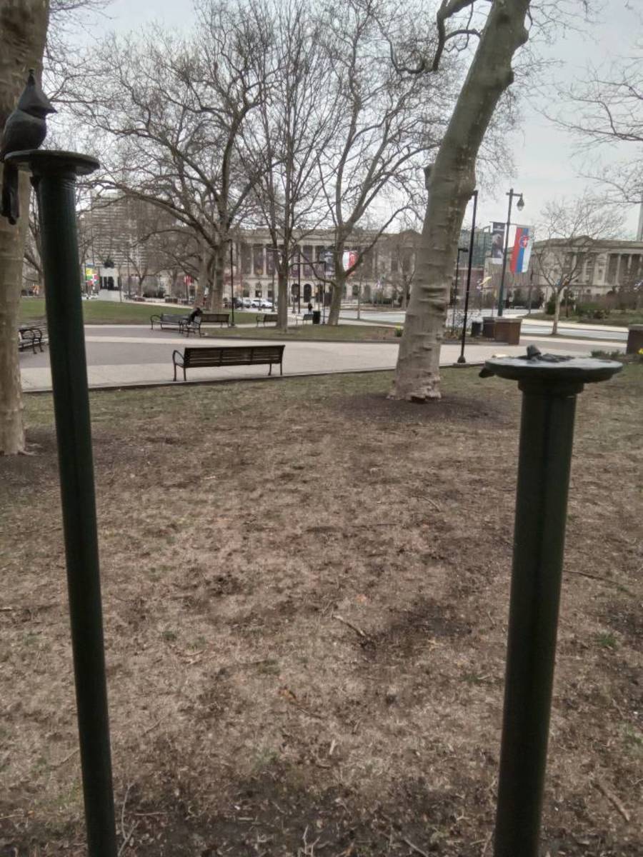 Photographic documentation of the work as submitted to the city's 311 record.