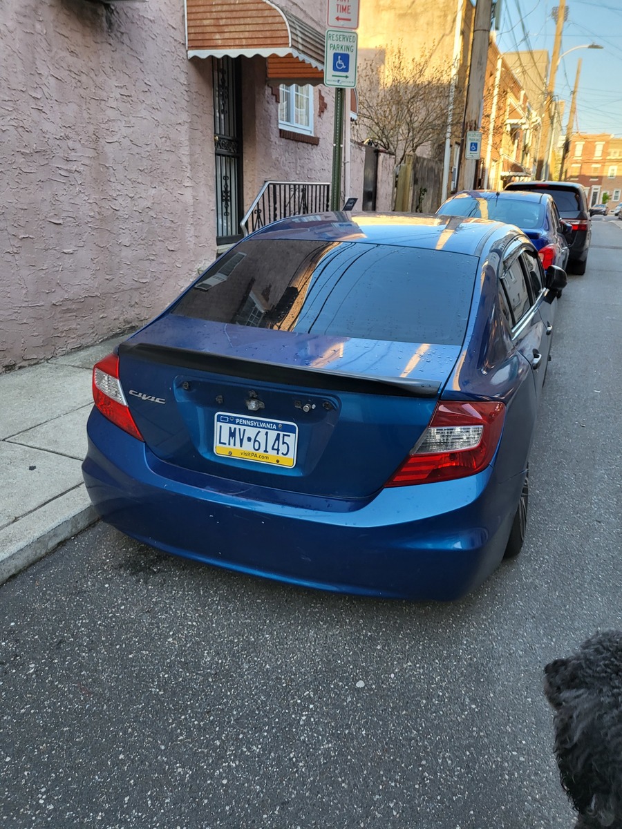 Photographic documentation of the work as submitted to the city's 311 record.