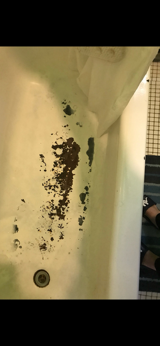 Photographic documentation of the work as submitted to the city's 311 record.