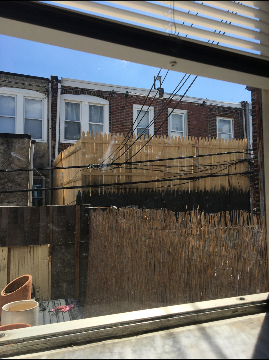 Photographic documentation of the work as submitted to the city's 311 record.