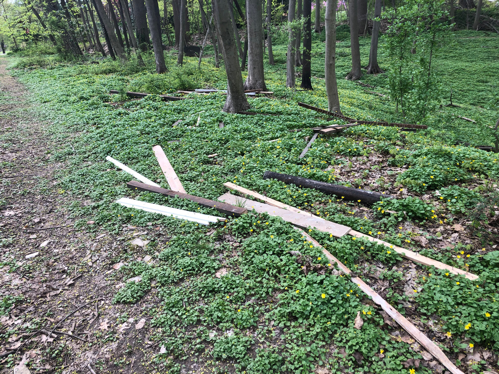 Photographic documentation of the work as submitted to the city's 311 record.