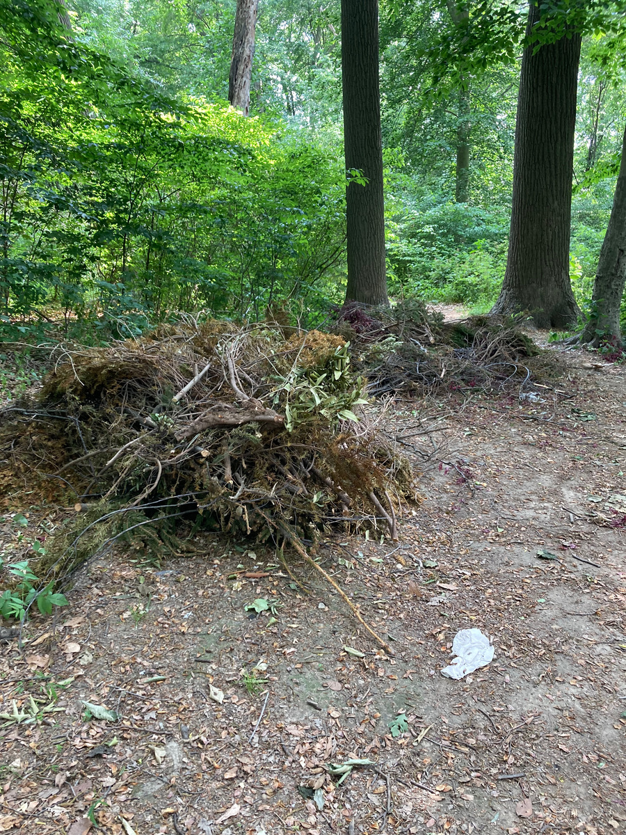 Photographic documentation of the work as submitted to the city's 311 record.