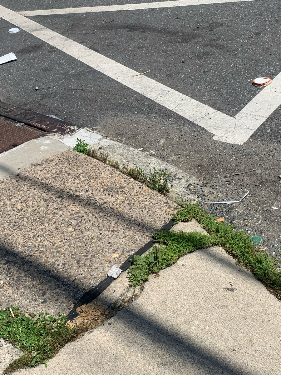 Photographic documentation of the work as submitted to the city's 311 record.
