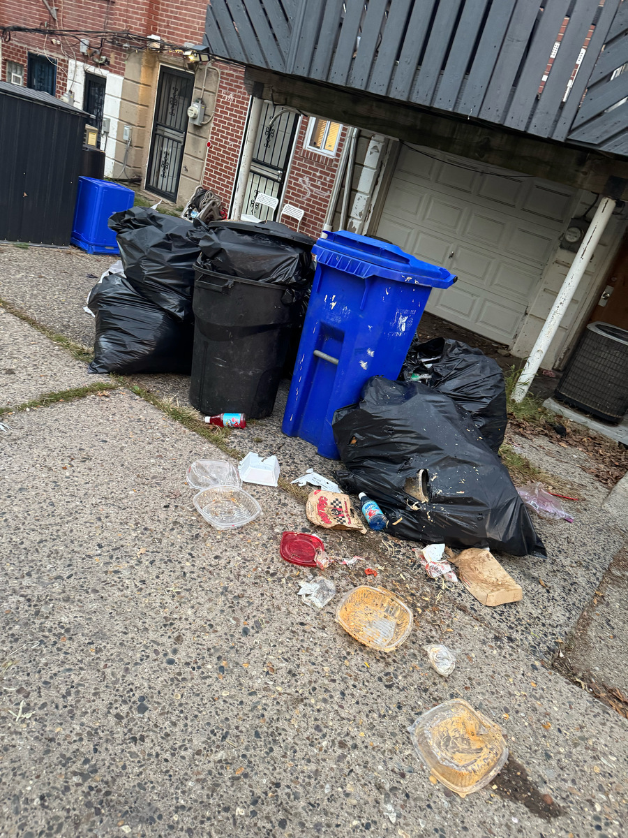 Photographic documentation of the work as submitted to the city's 311 record.