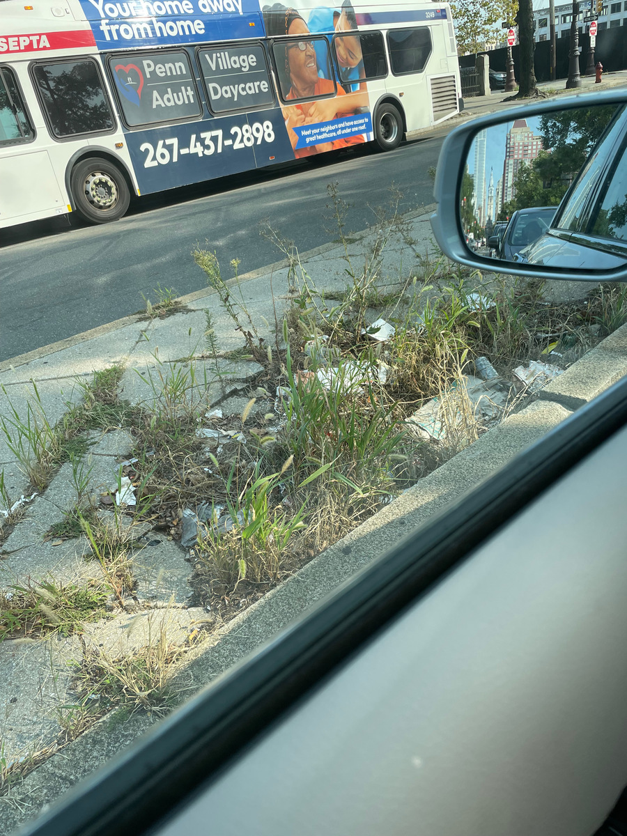Photographic documentation of the work as submitted to the city's 311 record.