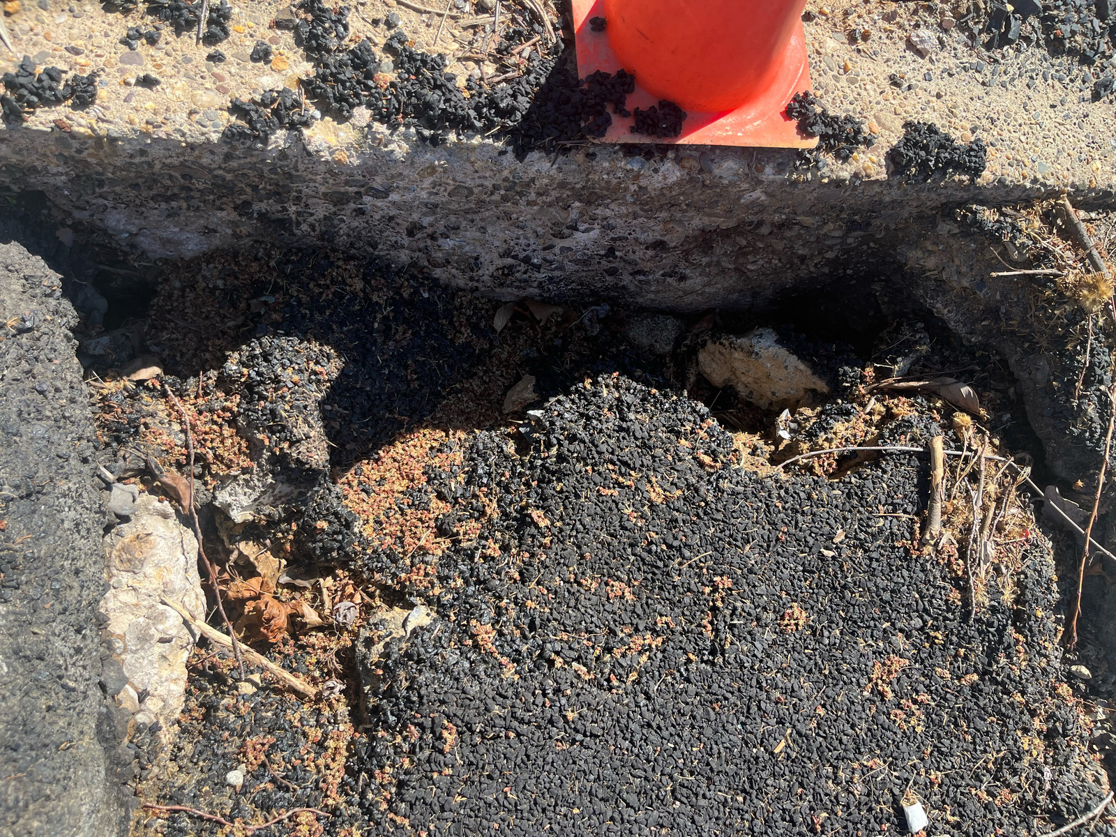 Photographic documentation of the work as submitted to the city's 311 record.