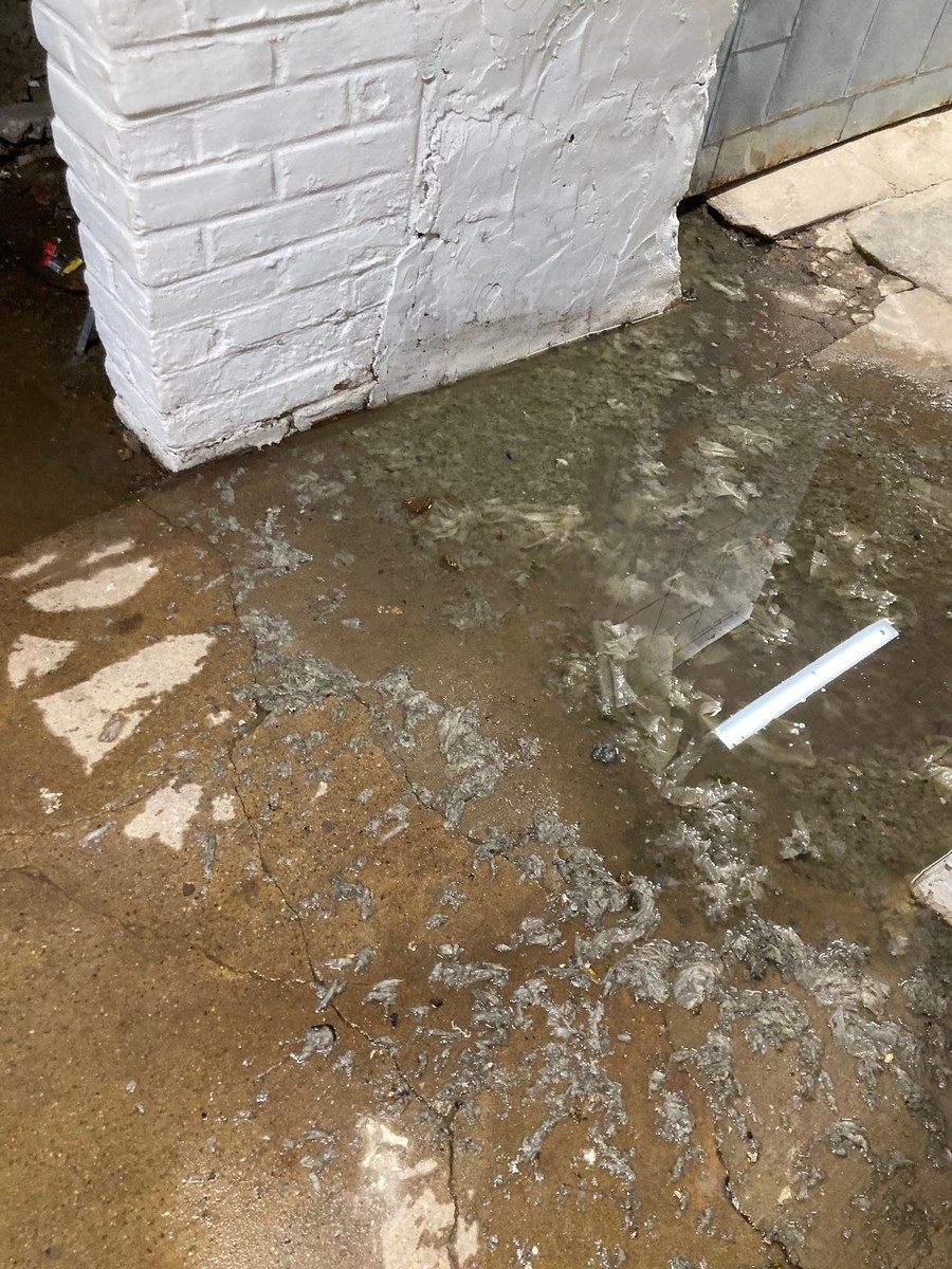 Photographic documentation of the work as submitted to the city's 311 record.
