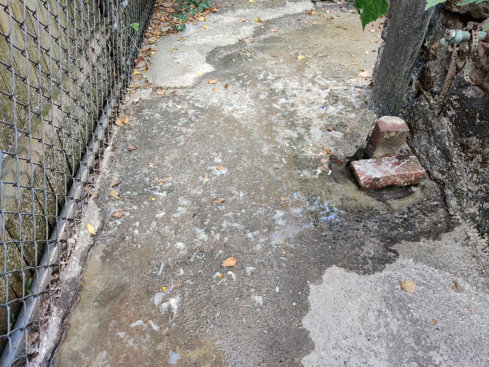 Photographic documentation of the work as submitted to the city's 311 record.