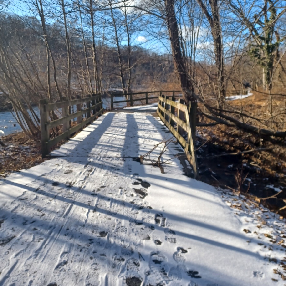 Photographic documentation of the work as submitted to the city's 311 record.