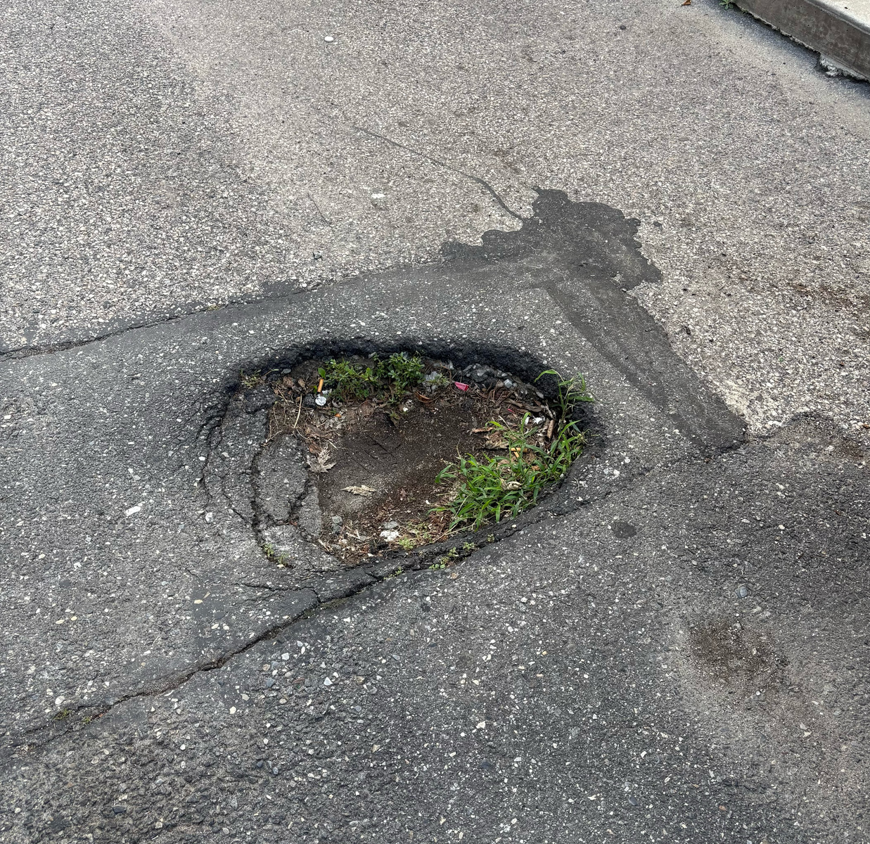Photographic documentation of the work as submitted to the city's 311 record.