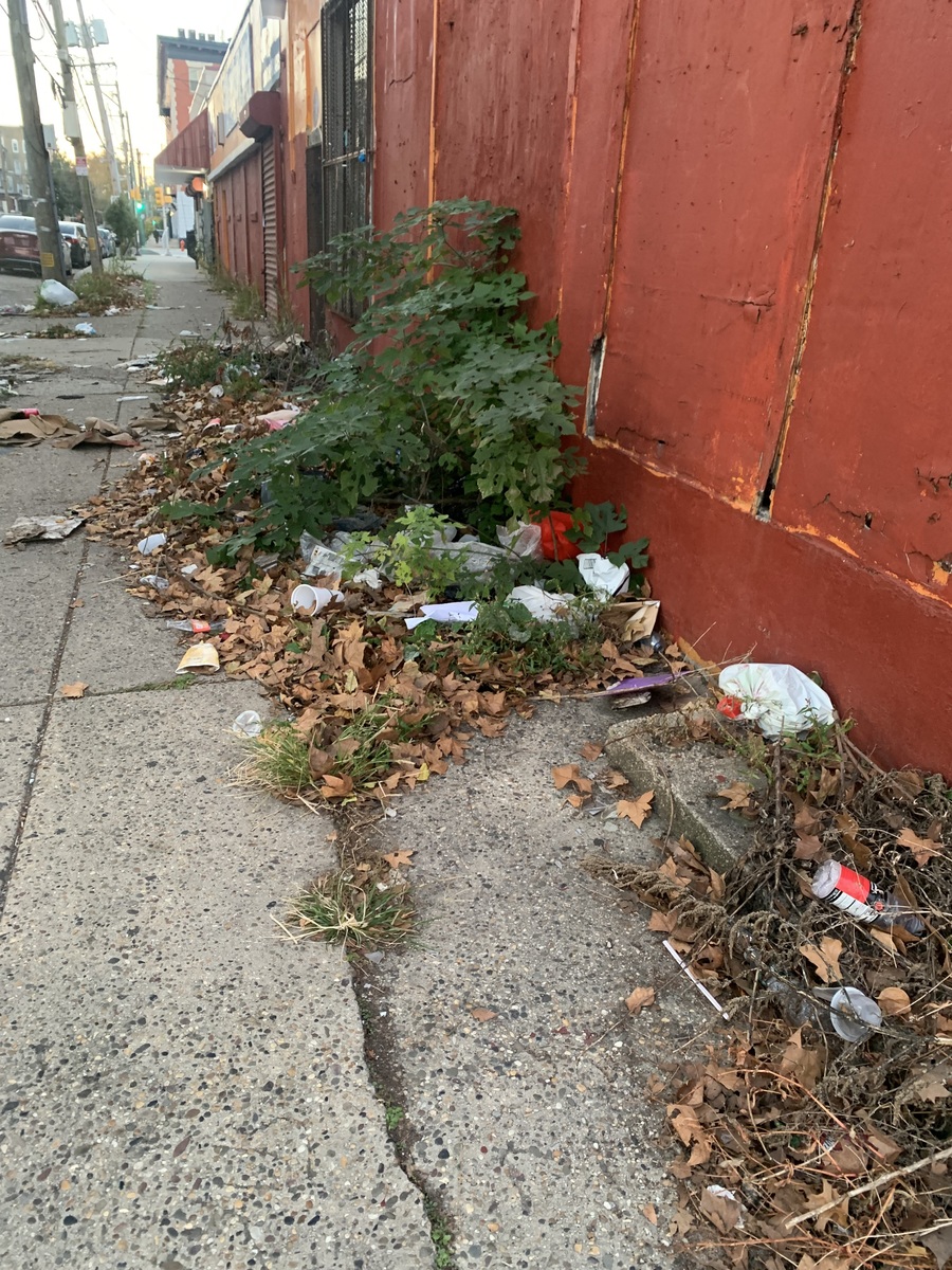 Photographic documentation of the work as submitted to the city's 311 record.