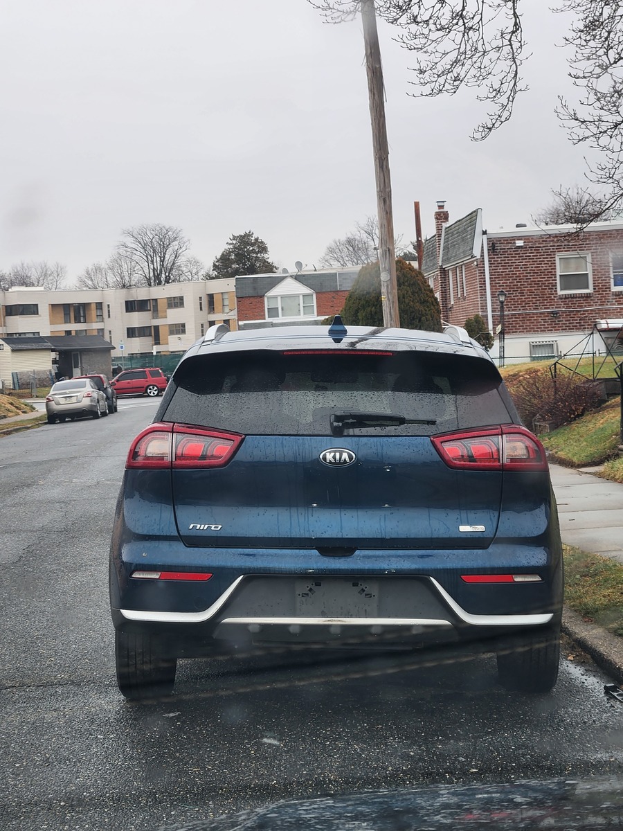 Photographic documentation of the work as submitted to the city's 311 record.