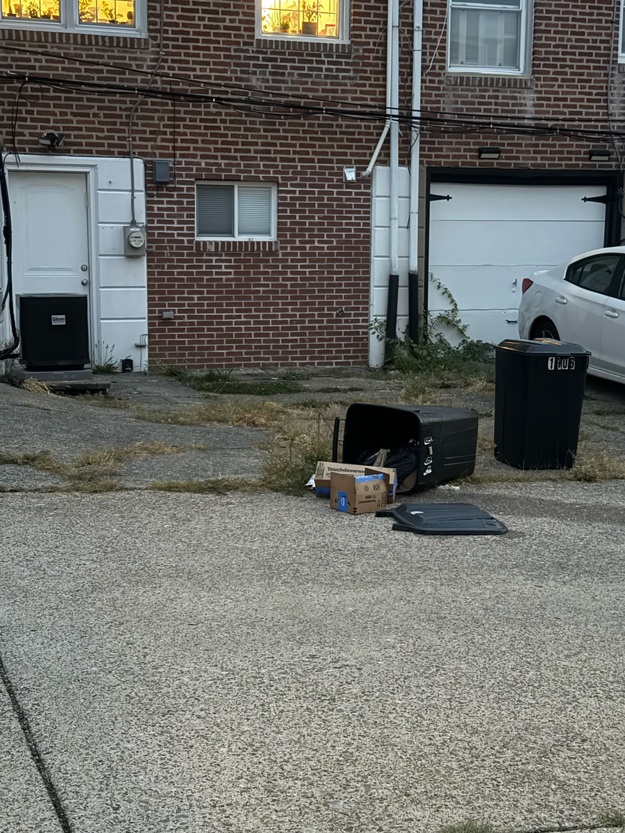 Photographic documentation of the work as submitted to the city's 311 record.