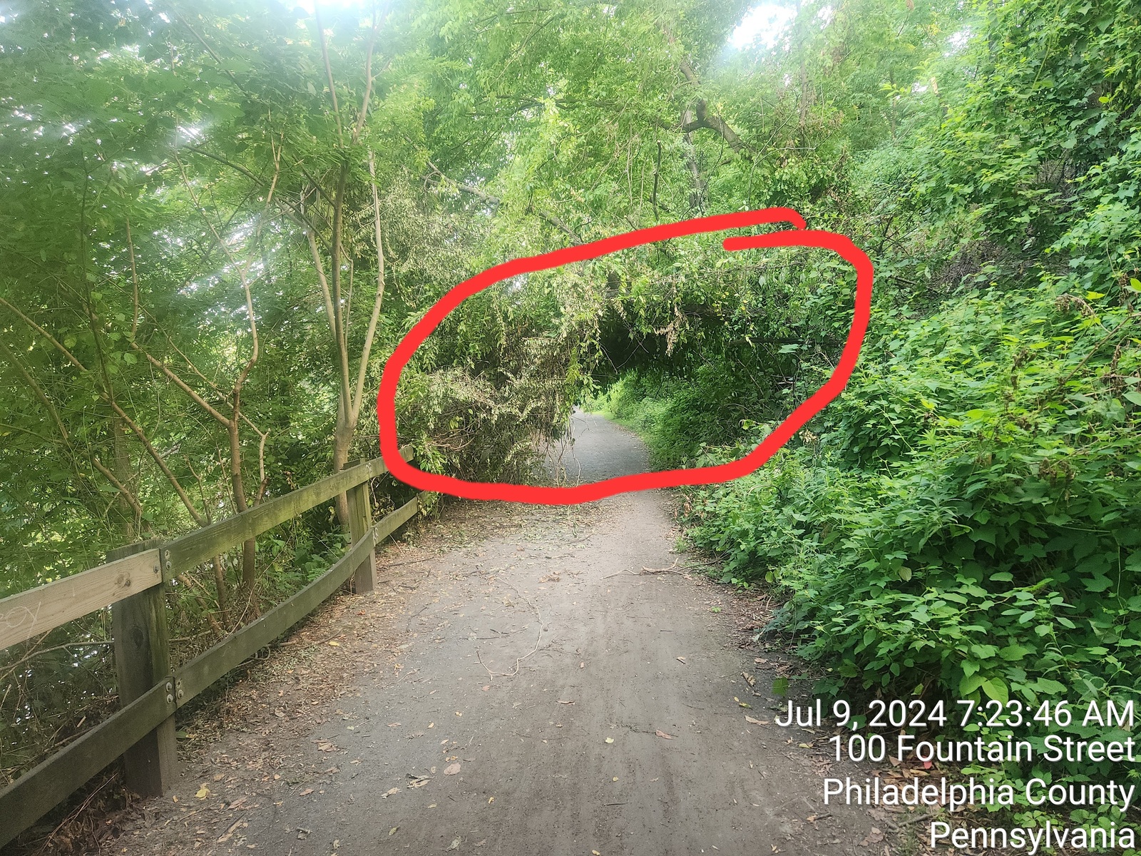 Photographic documentation of the work as submitted to the city's 311 record.