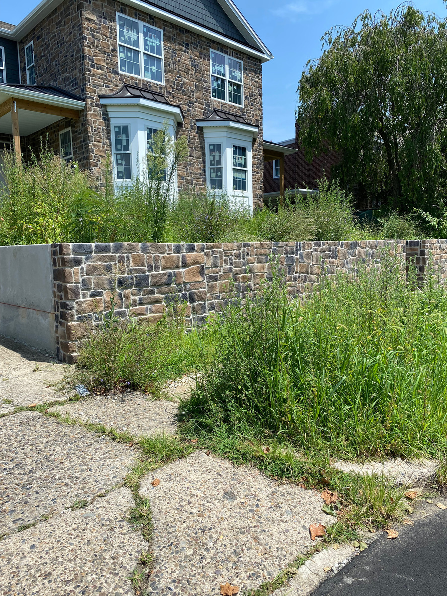 Photographic documentation of the work as submitted to the city's 311 record.