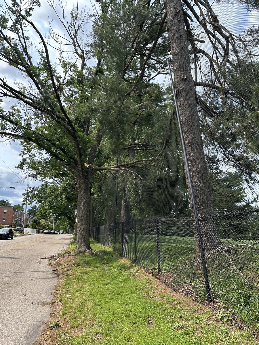 Photographic documentation of the work as submitted to the city's 311 record.