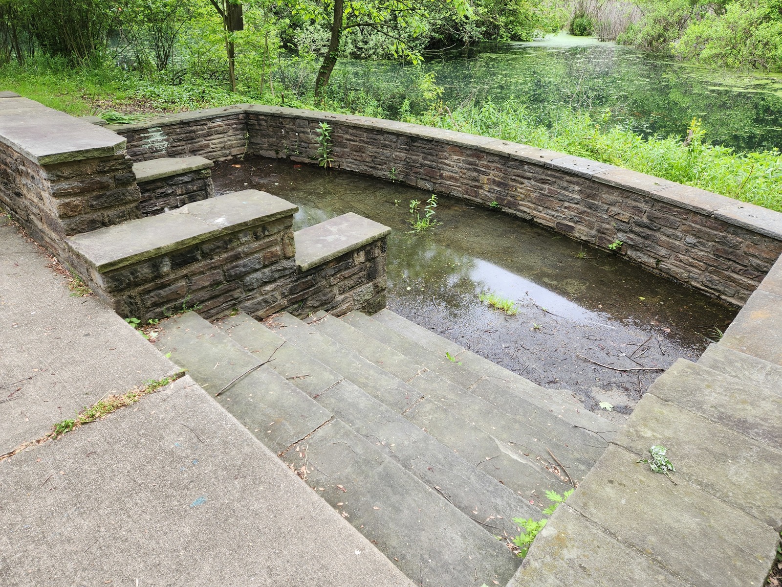 Photographic documentation of the work as submitted to the city's 311 record.