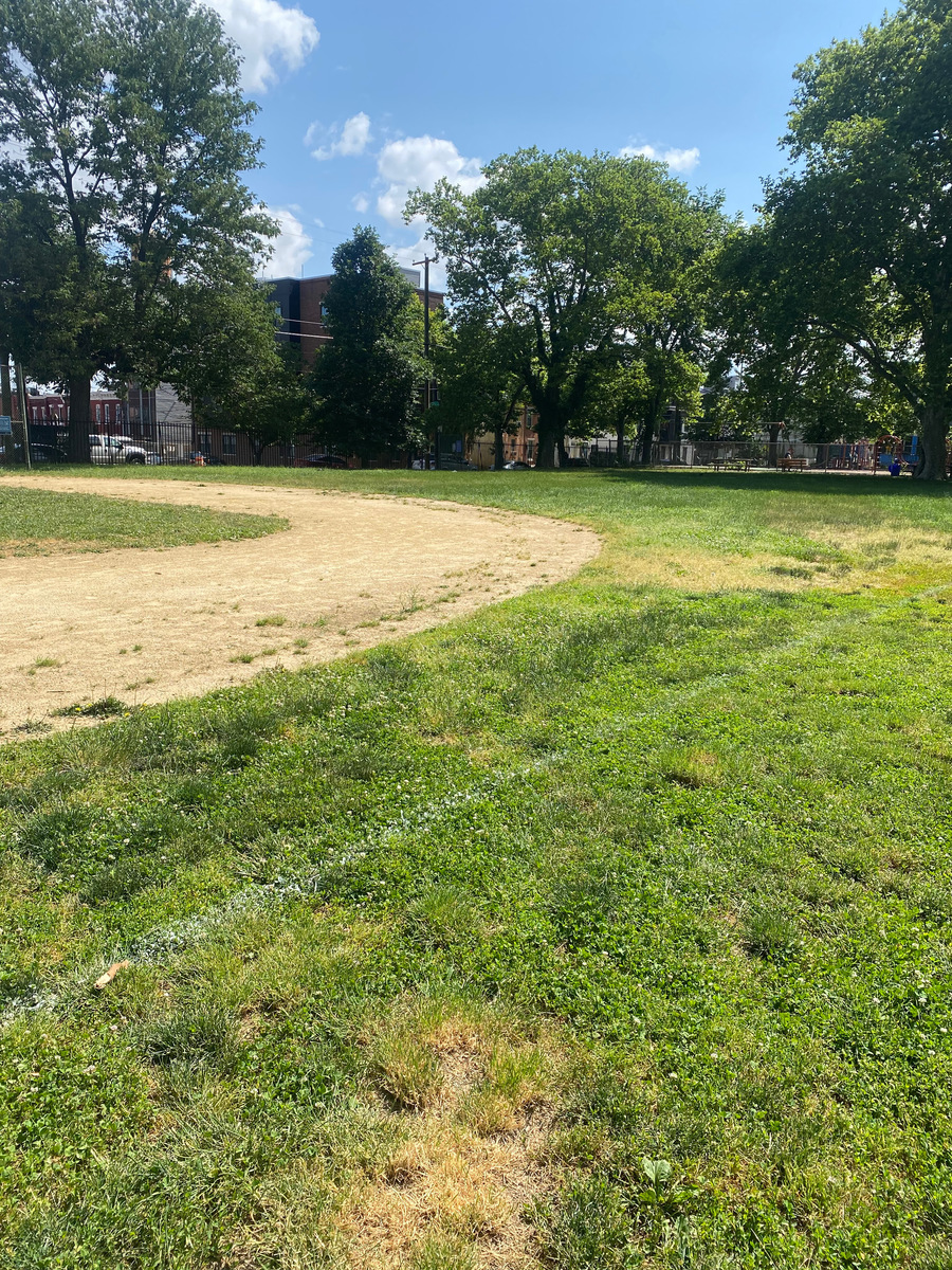 Photographic documentation of the work as submitted to the city's 311 record.
