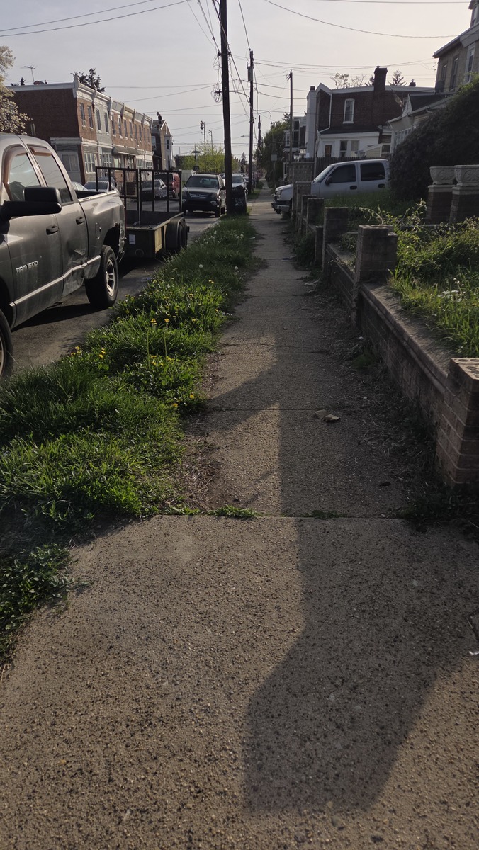 Photographic documentation of the work as submitted to the city's 311 record.