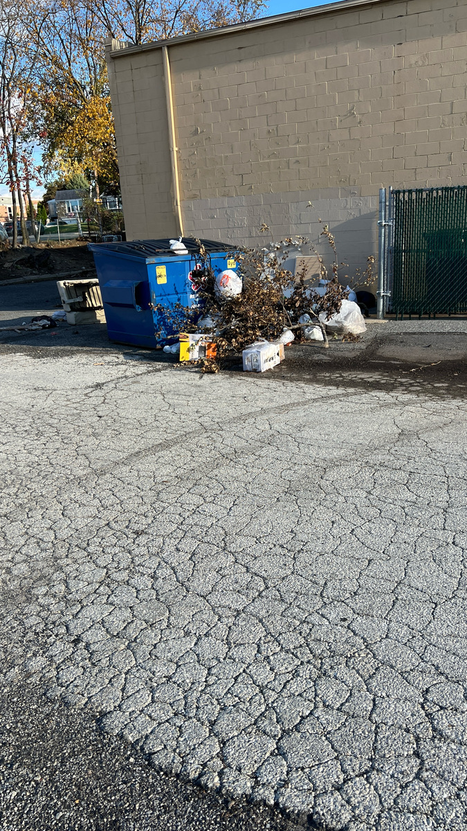 Photographic documentation of the work as submitted to the city's 311 record.