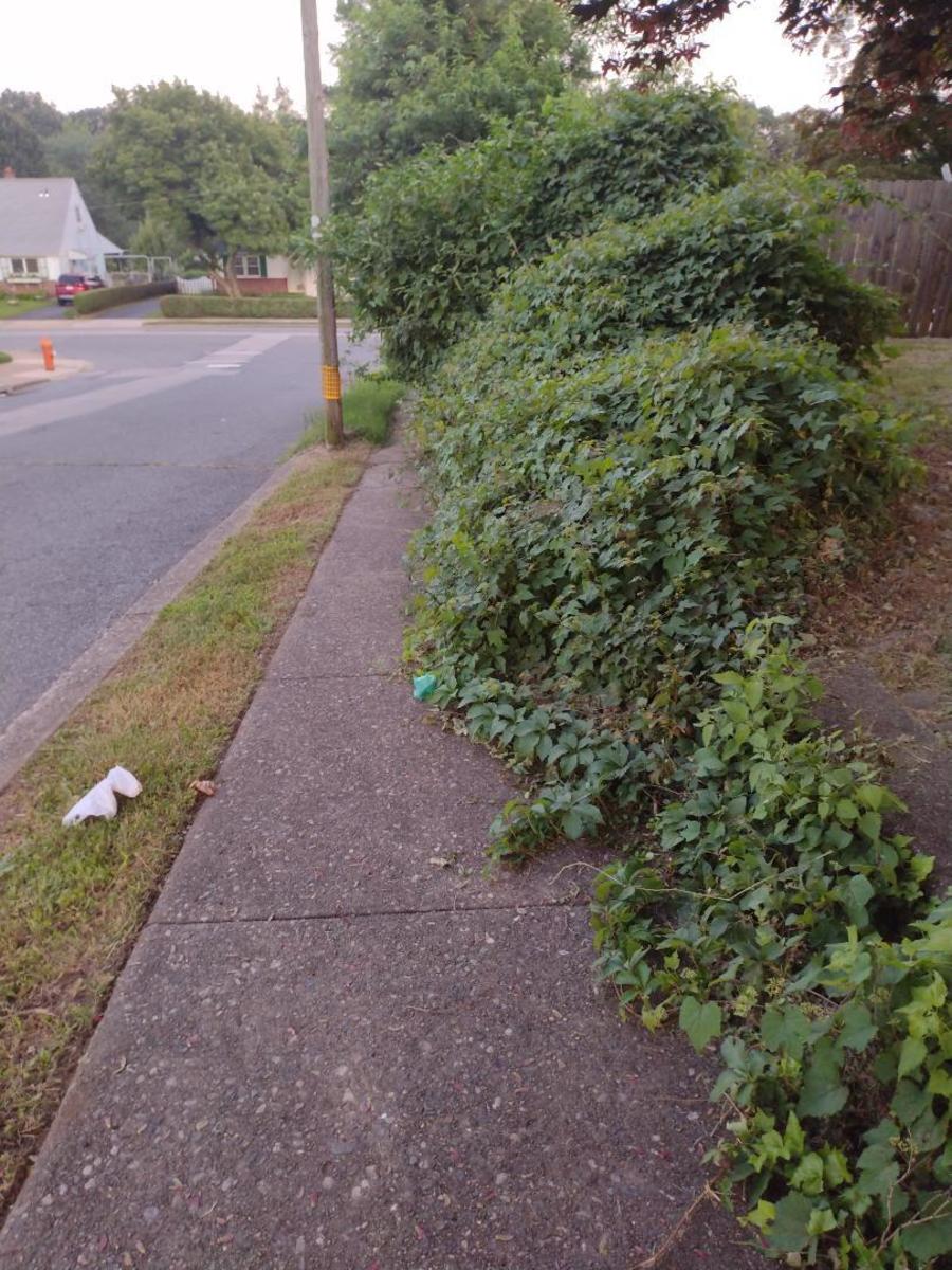 Photographic documentation of the work as submitted to the city's 311 record.