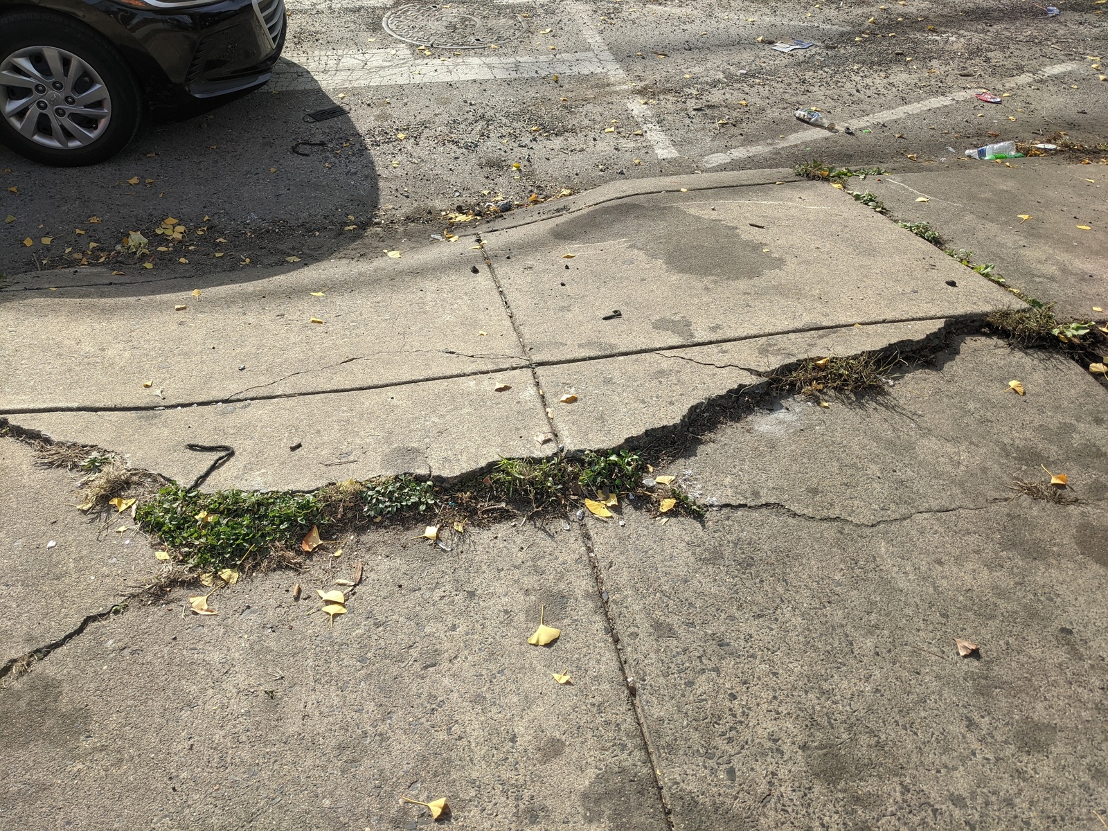 Photographic documentation of the work as submitted to the city's 311 record.