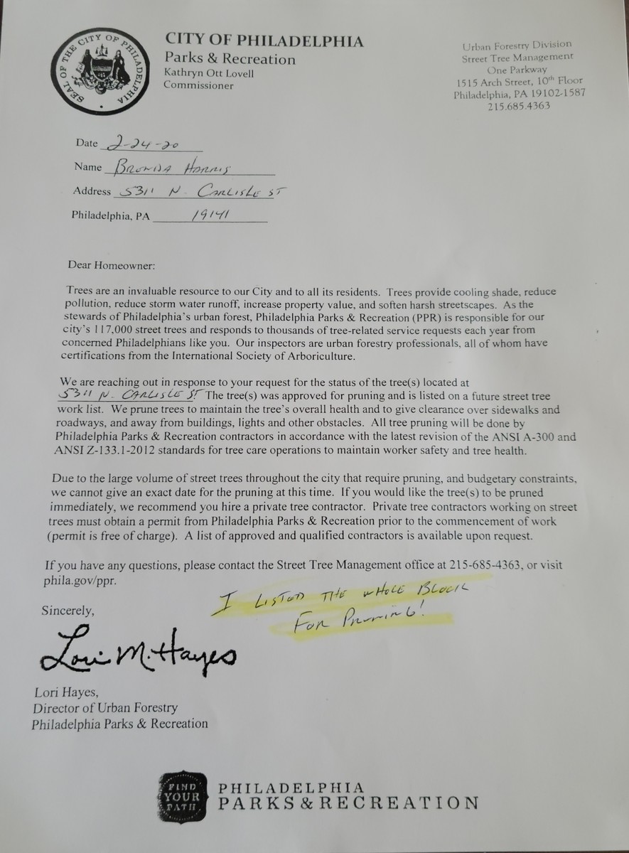 Photographic documentation of the work as submitted to the city's 311 record.