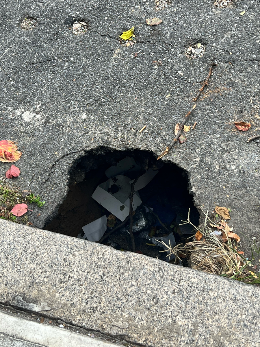 Photographic documentation of the work as submitted to the city's 311 record.