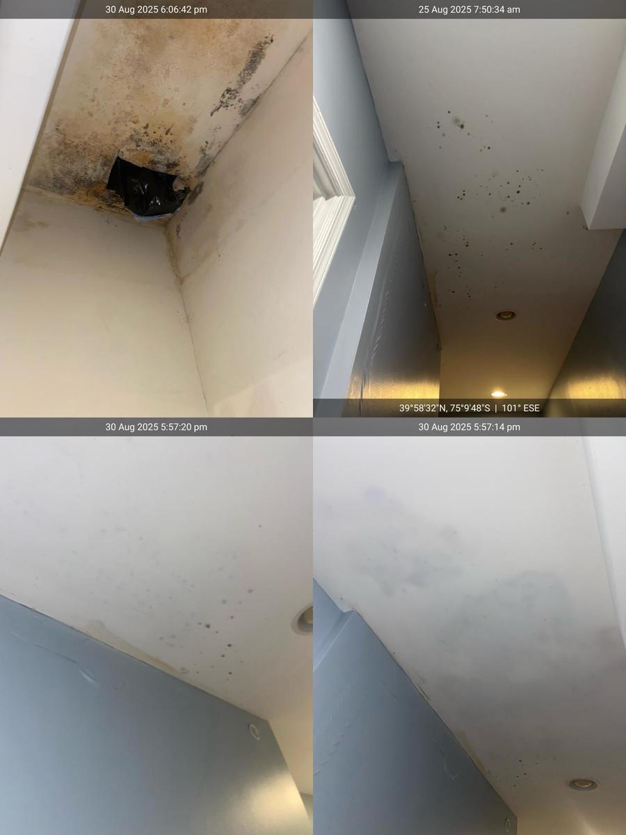 Photographic documentation of the work as submitted to the city's 311 record.
