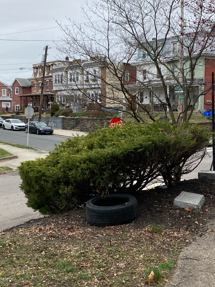 Photographic documentation of the work as submitted to the city's 311 record.