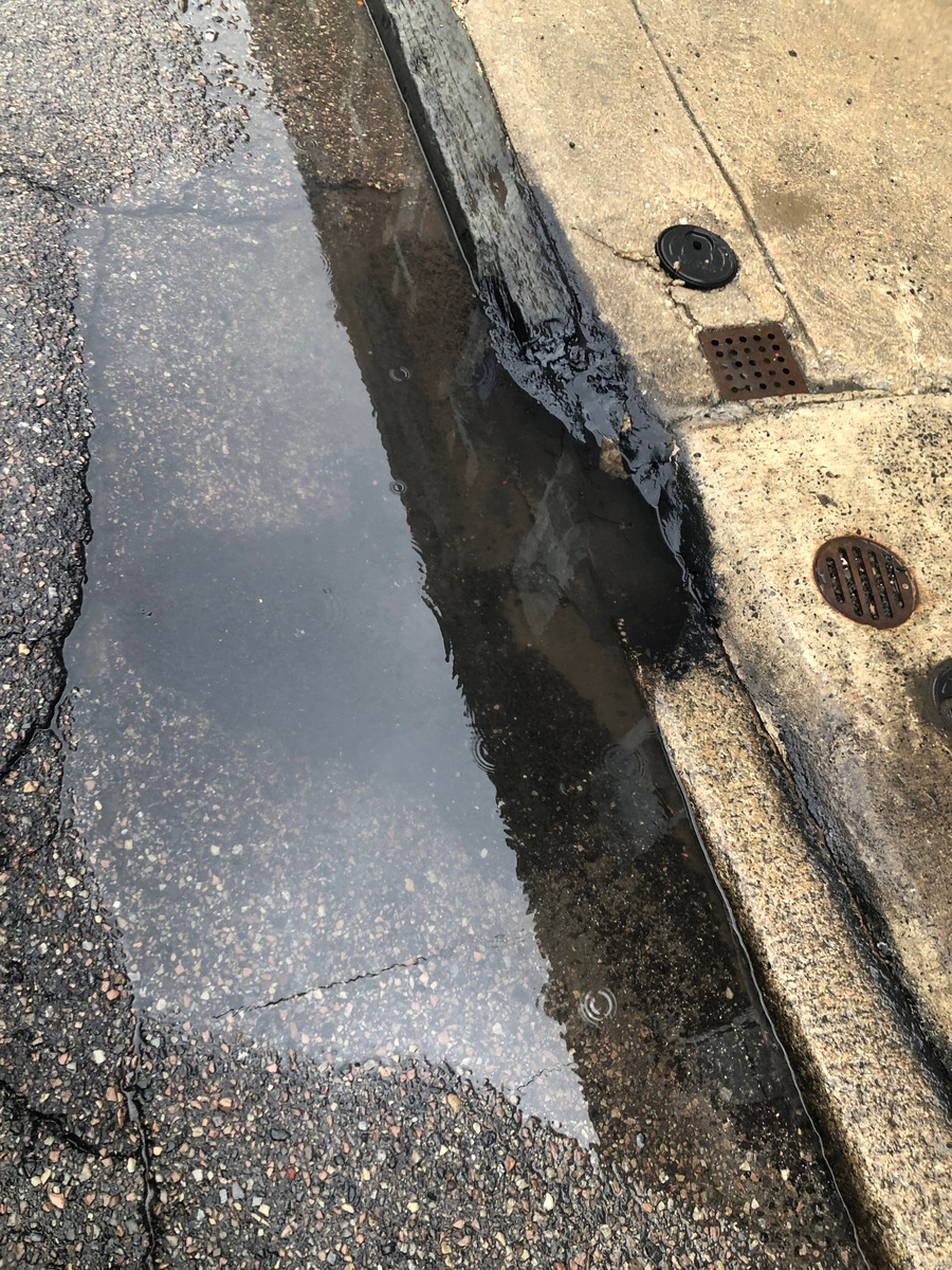 Photographic documentation of the work as submitted to the city's 311 record.