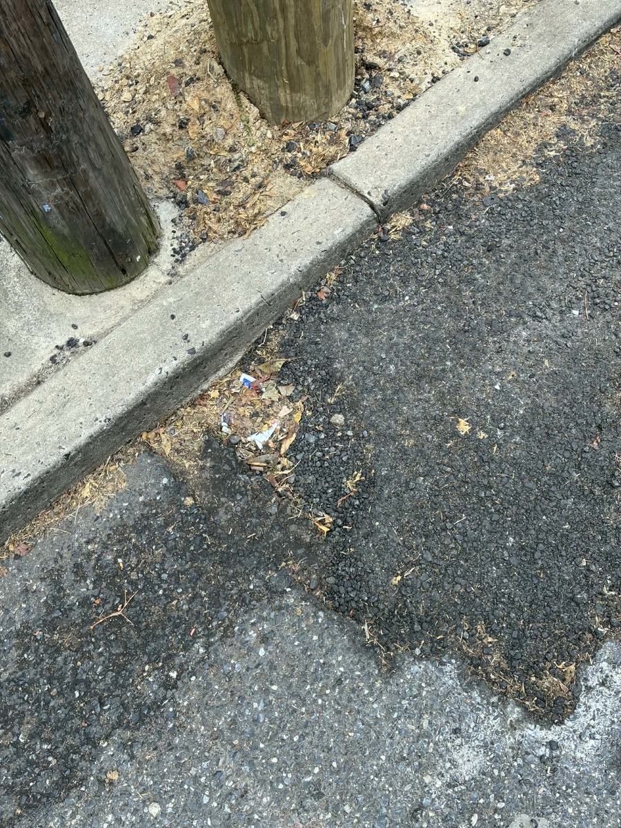Documentation of Curb Patch, Kater Street — North Philadelphia, as submitted to Philadelphia 311.