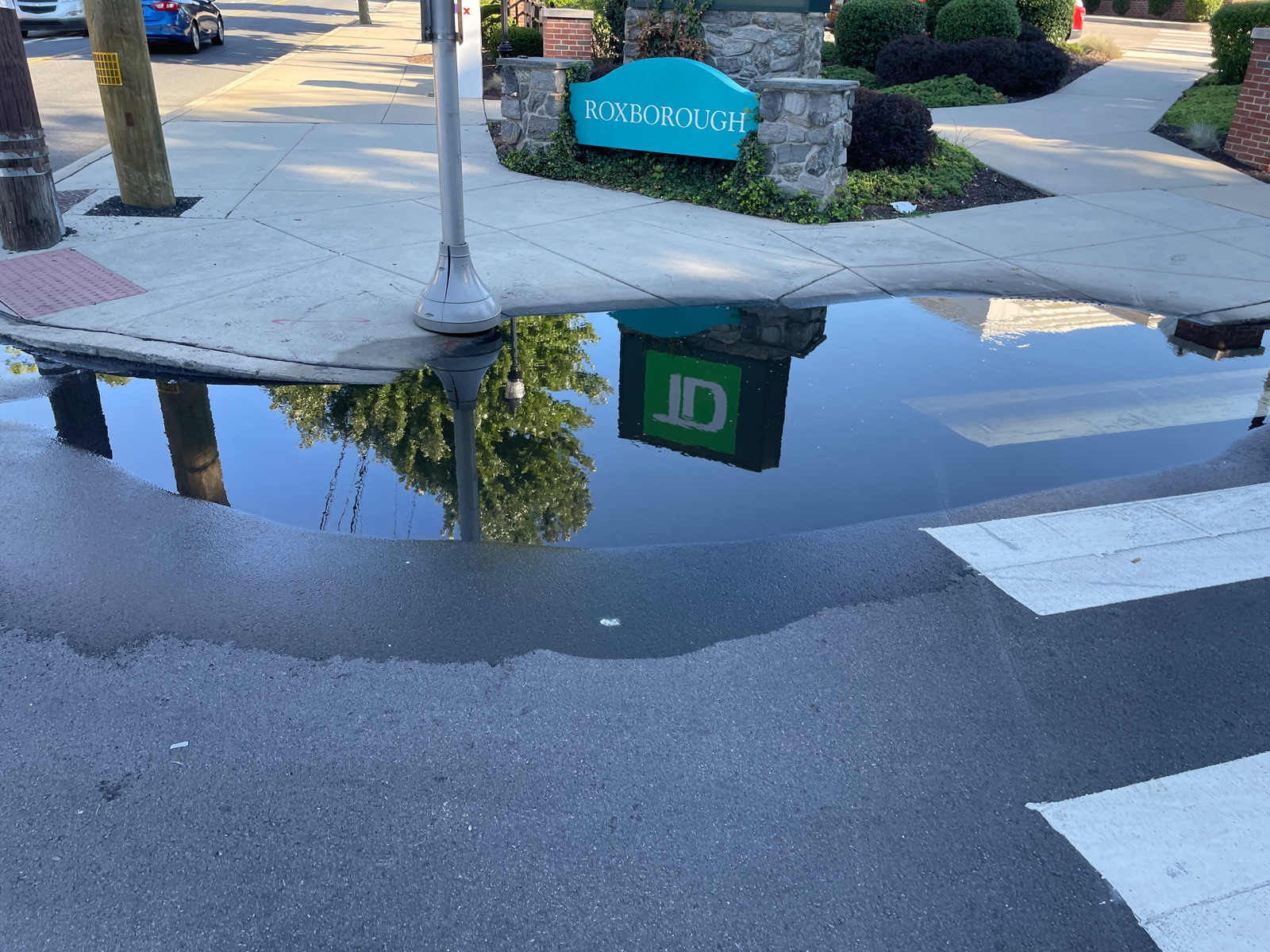 Photographic documentation of the work as submitted to the city's 311 record.
