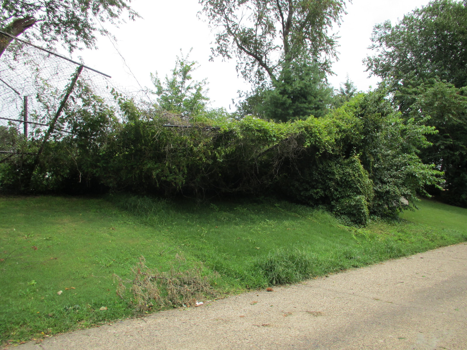 Photographic documentation of the work as submitted to the city's 311 record.