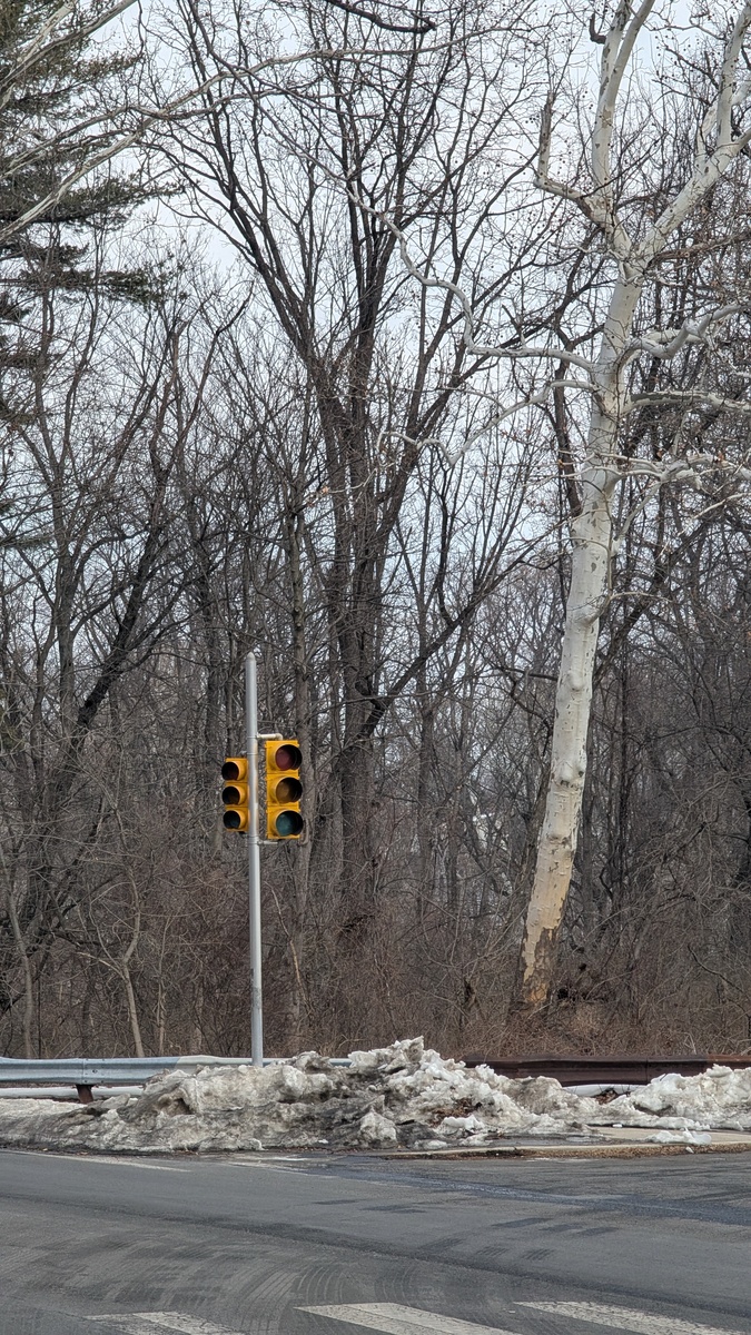 Photographic documentation of the work as submitted to the city's 311 record.