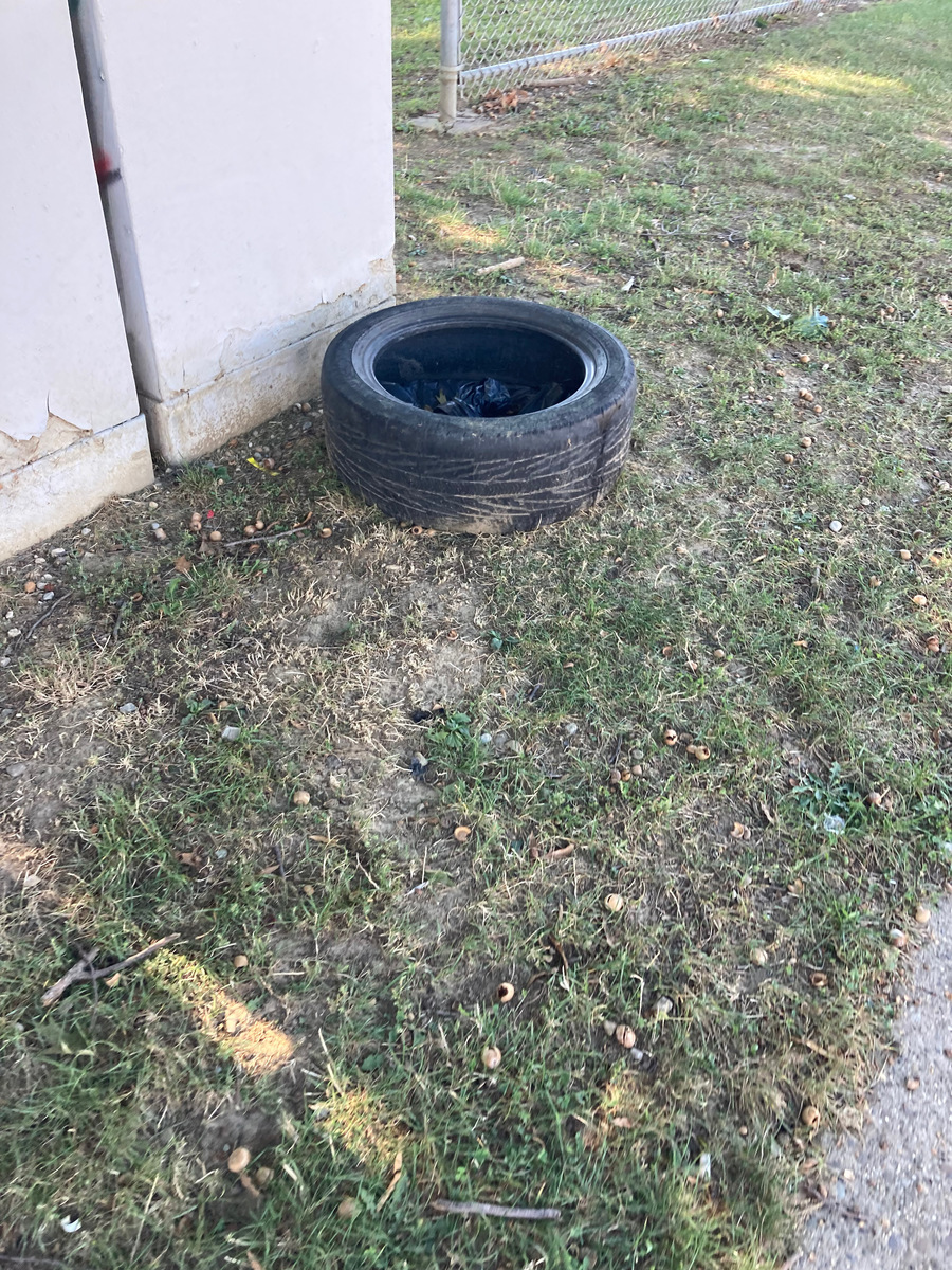Photographic documentation of the work as submitted to the city's 311 record.