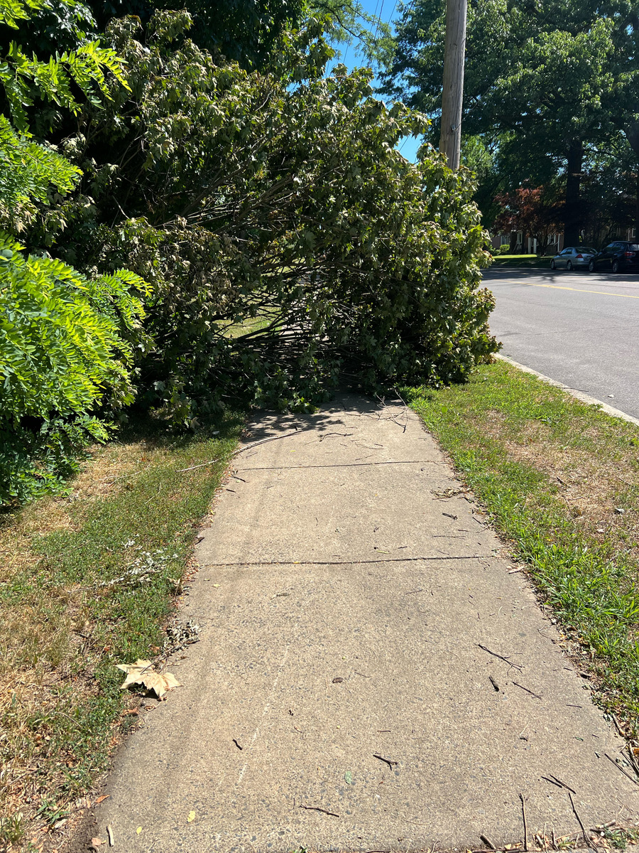 Photographic documentation of the work as submitted to the city's 311 record.